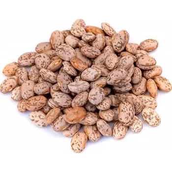 Příloha Nutworld.cz Fazole Pinto 500g