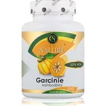 Golden Nature Garcinie kambodžská 50 %…