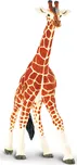 Safari Ltd. Žirafa síťovaná