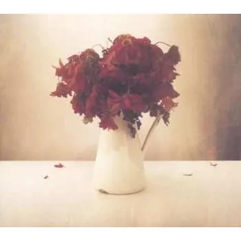 Zahraniční hudba LP The Lion And The Wolf: The Cardiac Hotel 2020