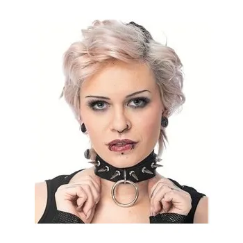 Obojek pro psa Obojek s kruhem a hroty