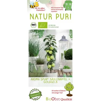 Sazenice Jabloň sloupovitá 'Aroma Spur'®Goldgelb