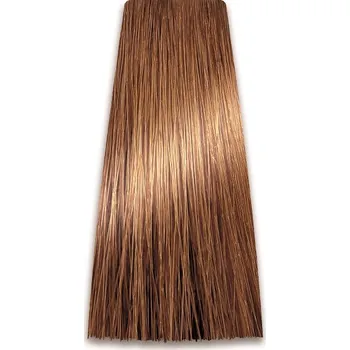 Barva na vlasy 9/00 Prosalon Professional Intensis Color Art (100 gr)