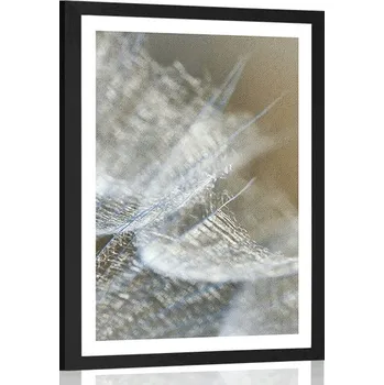 Plakát Dovido Plakát s paspartou makro pampeliška na pozadí