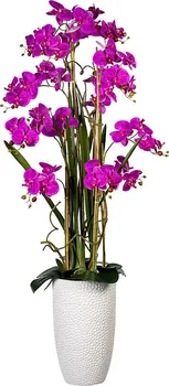 Umělá květina Gasper Phalaenopsis orchidej 160 cm fialová