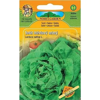 Semeno Nohel Garden Humil salát hlávkový ozimý 100 ks