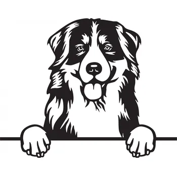 Vsepropejska Bernský salašnický dřevěná dekorace na zeď Rozměr (cm): 35 x 28, Typ: Bernský 2