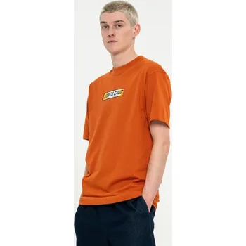 Pánské tričko SANTA CRUZ triko - Sundown Ray Strip T-Shirt Copper (COPPER) velikost: M