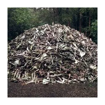 Zahraniční hudba LP Briqueville: II LTD | CLR 2017 Bone & Forest Splatter Vinyl