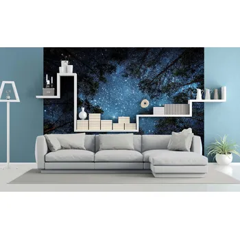 Fototapeta Malvis ® Tapeta Noční obloha v lese Vel. (šířka x výška): 144 x 105 cm