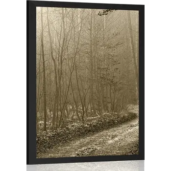 Plakát Dovido Plakát sépiová cestička do lesa