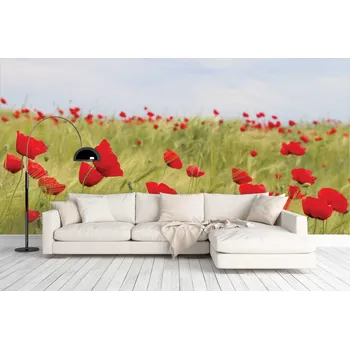 Fototapeta Malvis ® Tapeta Makové pole Vel. (šířka x výška): 504 x 310 cm