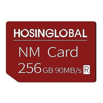 Paměťová karta Hosinglobal Nano Memory Card 256 GB