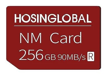 Paměťová karta Hosinglobal Nano Memory Card 256 GB