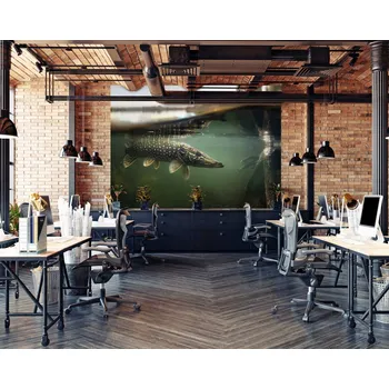 Tapeta Malvis ® Tapeta Štika pod vodou Vel. (šířka x výška): 144 x 105 cm