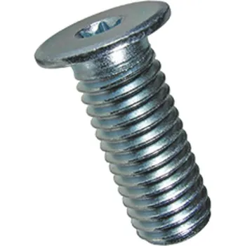 Spojovací materiál Šroub TORX extra nízká hlava M4x10 A2