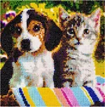 ISO Diamantové malování pes a kočka
