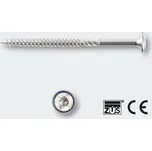 RAPI-TEC vrut SK PLUS 5x50mm 250ks T25 p