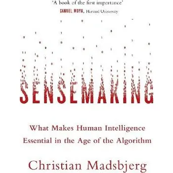 Cizí jazyk Sensemaking - Madsbjerg, Christian