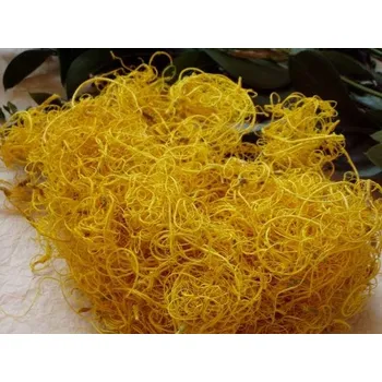 Korálek tamarint žlutý