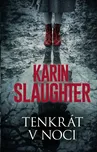 Tenkrát v noci - Karin Slaughter (2023,…
