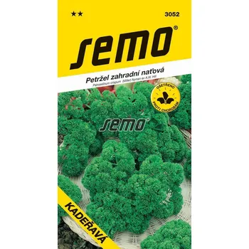 Semeno Petržel zahradní naťová Kadeřavá