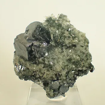 Galenit z Bulharska 59x55mm