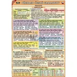 Velký přehled české gramatiky