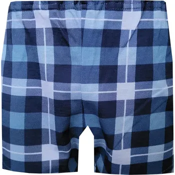 Chlapecké spodní prádlo Dětské Trenýrky FOLTÝN DT69 Velikost: 152