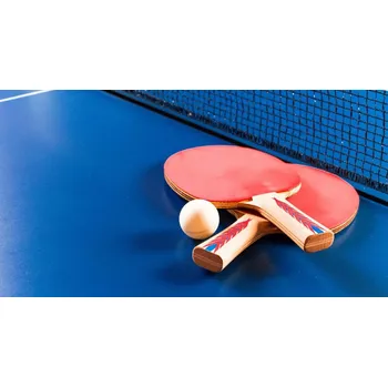 Stolní tenis Doplněk vše na stolní tenis Pronájem pálek na stolní tenis