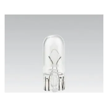 Autožárovka Žárovka 24V W5W 5W s celoskeněnou paticí W21,1x9,5d 3201