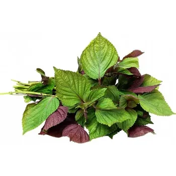 Koření Perila, Shiso 100 g