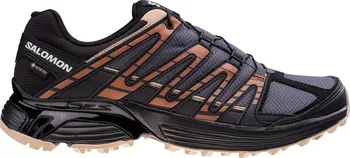Pánská běžecká obuv Salomon XT Reckon GTX L47213600