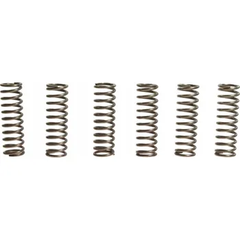 Sada spojkových pružin YAMAHA YZF 600 R6 (nový model 06-20 řetěz