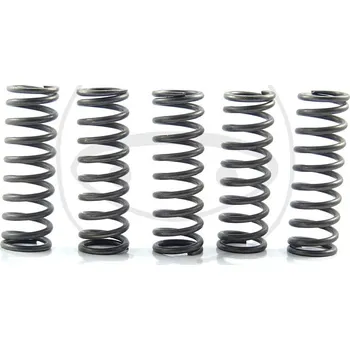 Sada spojkových pružin KAWASAKI ZX-14 Ninja (ZX 1400) rok 06-11