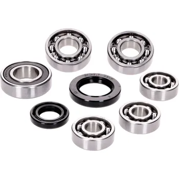OEM Standard Sada ložisek převodovky s gufery, Kymco horizontal SF10, SYM horizontal 42782