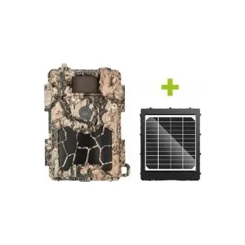 Fotopast Fotopast OXE Spider 4G a solární panel + 32GB SD karta, SIM, stativ, 8ks baterií a doprava ZDARMA!