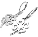 Steel Jewelry Náušnice čtyřlístek z chirurgické oceli NS080342 dárkové balení zdarma