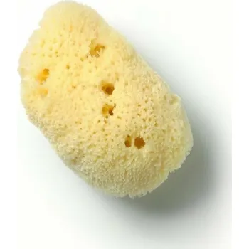 Huygens Přirodní houbička k čištění pleti 1 ks