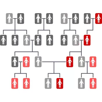 Diagnostický test Test původu z matčiny strany PLUS