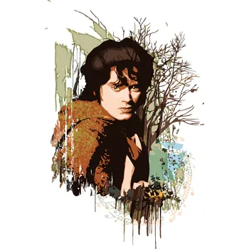 ZUTY Malování podle čísel - MALOVANÝ FRODO (PÁN PRSTENŮ) Rozměr: 40x50 cm, Rámování: bez rámu a bez vypnutí plátna