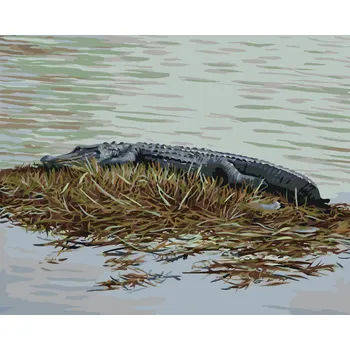 ZUTY Malování podle čísel - ALIGÁTOR LEŽÍCÍ NA TRÁVĚ VE VODĚ (D. RUSTY RUST) Rozměr: 40x50 cm, Rámování: bez rámu a bez vypnutí plátna