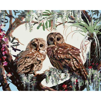 ZUTY Malování podle čísel - SOVY A SRDCE Z VĚTVÍ (D. RUSTY RUST) Rozměr: 40x50 cm, Rámování: bez rámu a bez vypnutí plátna