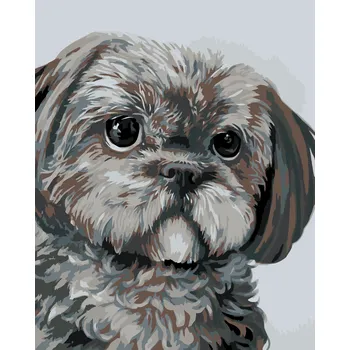 ZUTY Malování podle čísel - PEJSEK (MYROSLAVA VOLOSCHUK) Rozměr: 80x100 cm, Rámování: vypnuté plátno na rám