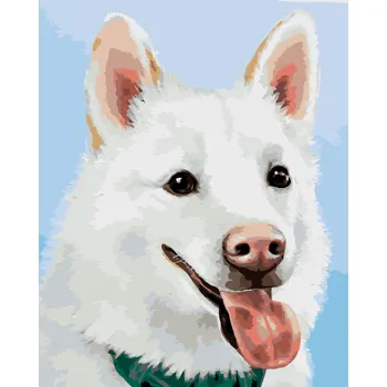 ZUTY Malování podle čísel - BÍLÝ ŠVÝCARSKÝ OVČÁK (MYROSLAVA VOLOSCHUK) Rozměr: 80x100 cm, Rámování: bez rámu a bez vypnutí plátna