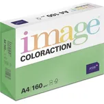 Papír barevný Color A4/160gr Dublin sytě zelený DG47