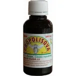 DR.DUDEK Propolisová tinktura přírodní 30ml