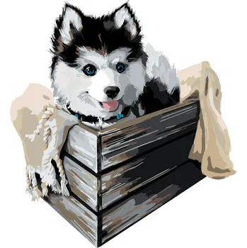 ZUTY Malování podle čísel - HUSKY V KRABICI Rozměr: 40x50 cm, Rámování: bez rámu a bez vypnutí plátna