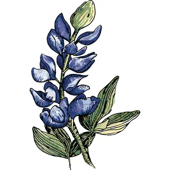 ZUTY Malování podle čísel - KVĚT VLČÍHO BOBU (ALEXANDRIA GILBERT) Rozměr: 40x50 cm, Rámování: bez rámu a bez vypnutí plátna