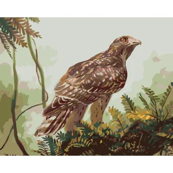 ZUTY Malování podle čísel - JESTŘÁB NA VĚTVI (D. RUSTY RUST) Rozměr: 40x50 cm, Rámování: vypnuté plátno na rám